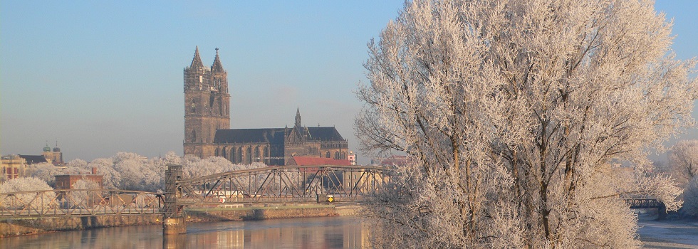 elbe_dom_Header